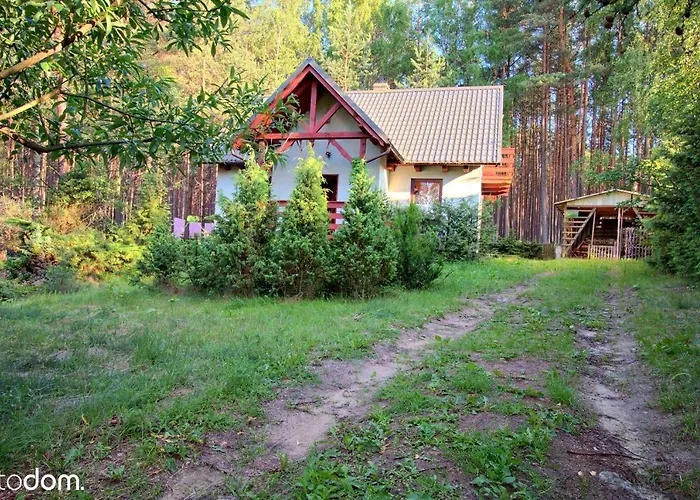 Dom Caloroczny W Borach Tucholskich