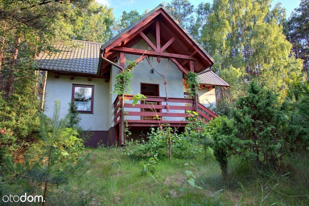 Dom Caloroczny W Borach Tucholskich